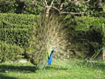 I padroni del Parco...