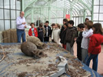 Bambini delle scuole in visita