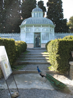 Anche i padroni del parco hanno visitato la mostra....
