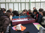 Bambini delle scuole in visita