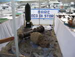 MARE ECO DI STORIA - MODELLI BOMBA, CANNONE, ANFORA
