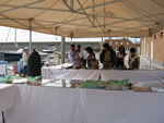 MARE ECO DI STORIA